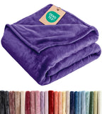 Ultra Soft Fleece Blanket Queen Size - Flannel Fleece Luxury Queen Blanket - Lightweight for Couch Bed Chair - Thick, Warm and Breathable - All Season Cozy Fuzzy, Anti-Static Microplush Bedding, Grey