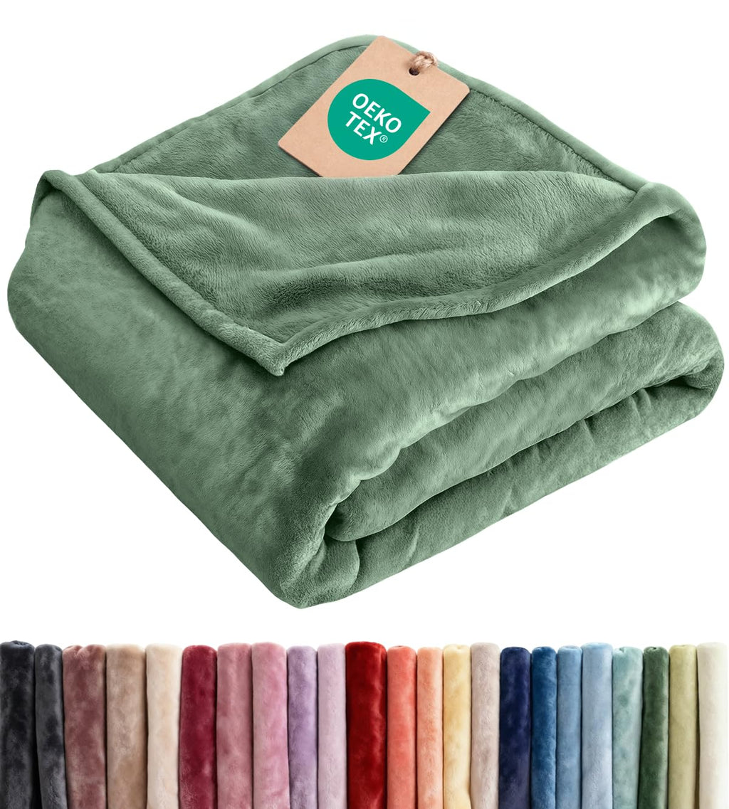 Ultra Soft Fleece Blanket Queen Size - Flannel Fleece Luxury Queen Blanket - Lightweight for Couch Bed Chair - Thick, Warm and Breathable - All Season Cozy Fuzzy, Anti-Static Microplush Bedding, Grey