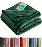 Ultra Soft Fleece Blanket Queen Size - Flannel Fleece Luxury Queen Blanket - Lightweight for Couch Bed Chair - Thick, Warm and Breathable - All Season Cozy Fuzzy, Anti-Static Microplush Bedding, Grey