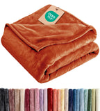 Ultra Soft Fleece Blanket Queen Size - Flannel Fleece Luxury Queen Blanket - Lightweight for Couch Bed Chair - Thick, Warm and Breathable - All Season Cozy Fuzzy, Anti-Static Microplush Bedding, Grey