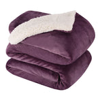NANPIPER Sherpa Blanket Twin Thick Warm Blankets for Winter Bed Super Soft Fuzzy Flannel Fleece/Wool Like Reversible Velvet Plush Fabric(Light Grey Twin Size 60"x80")