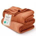 Bedsure GentleSoft Fleece Blanket Twin Size Cream - 300GSM Lightweight Plush Fuzzy Cozy Soft Warm Blanket for Bed, Sofa, Couch, Travel, Camping, 60x80 inches